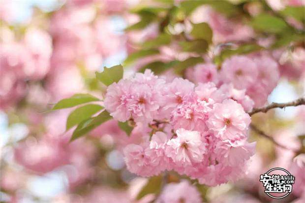 金沙9159游乐场(中国)有限公司-BinG百科