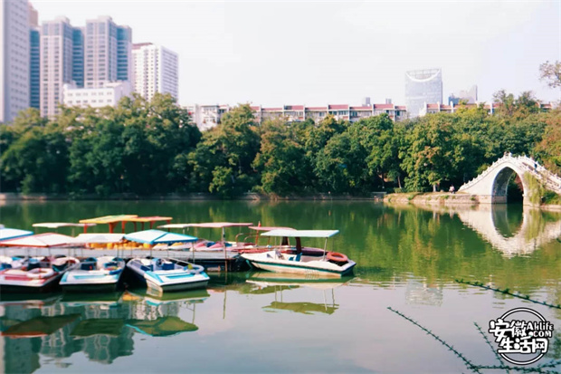 金沙9159游乐场(中国)有限公司-BinG百科