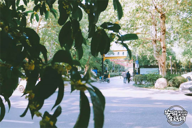 金沙9159游乐场(中国)有限公司-BinG百科