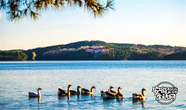 金沙9159游乐场(中国)有限公司-BinG百科